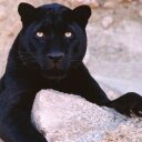 Kitty Miller - @kittymiller286 - Twitter