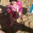 fernandocalvog's profile image