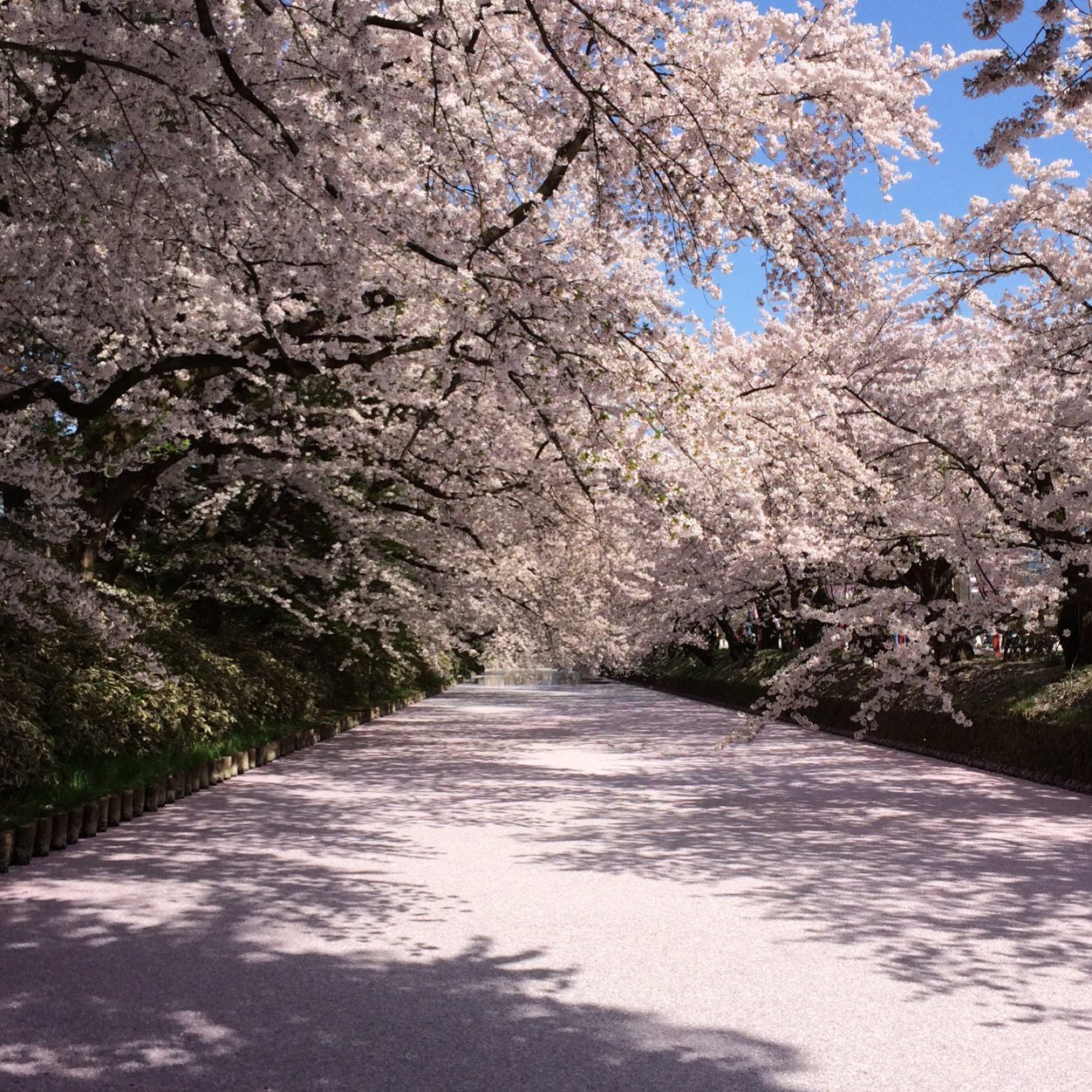 iks39th/JRE(H22)→研究員 スワローズファン歴30年 居住歴:神奈川、埼玉、東京、秋田、青森、栃木