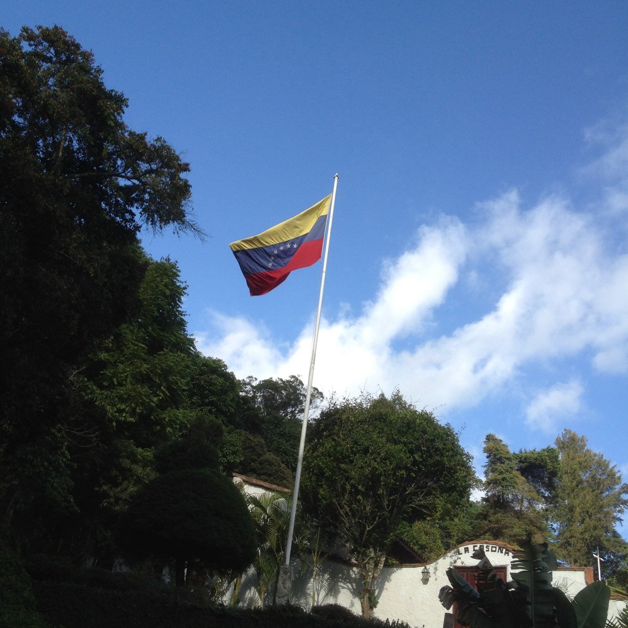 toysmen2's profile picture. 