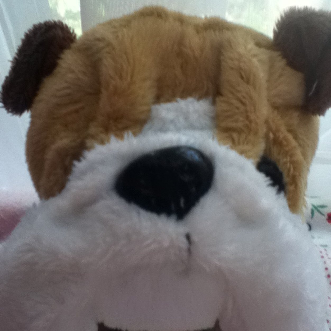 jocelyn56466169's profile picture. Keep up with things i'm doing and how i'm feeling every day