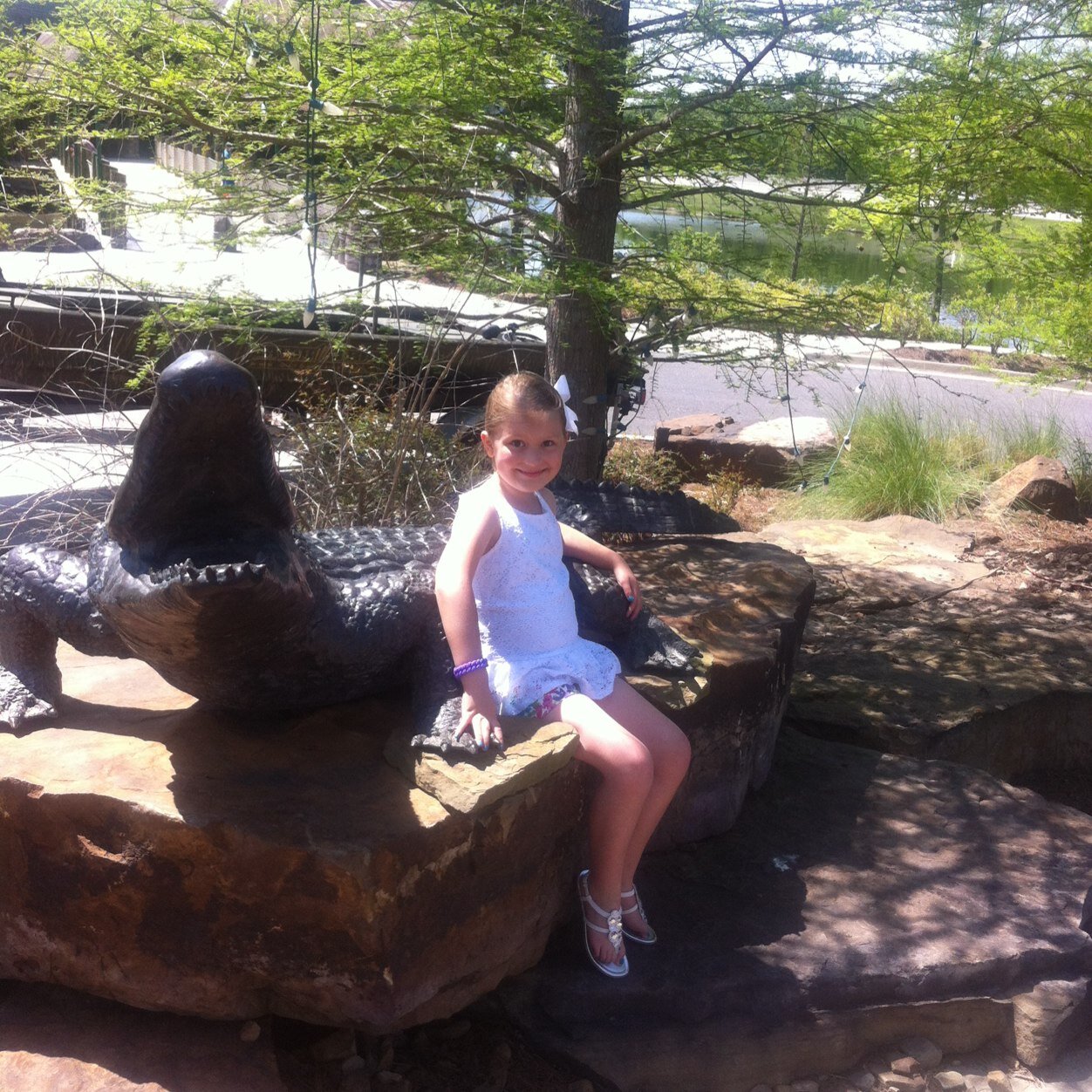 securitypro11's profile picture. 