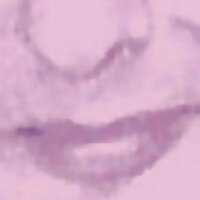 xavier ess (@xavieress) 's Twitter Profile