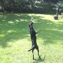 Lance Kidd - @Lmksr - Twitter