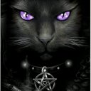 Michelle Spooner - @MichelleSpoone4 - Twitter