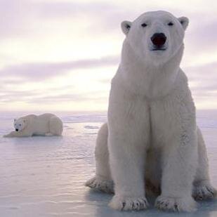 Pytho_n's profile picture. Like to be u'r friends ever