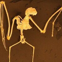 wata (@watatwi) 's Twitter Profile Photo