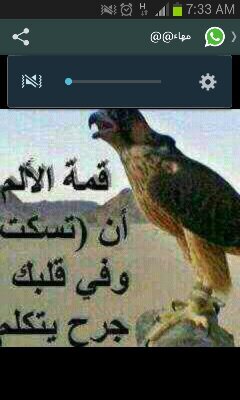 ‏‏كن في حياتي كحبات السكر حنئ وان ذابت