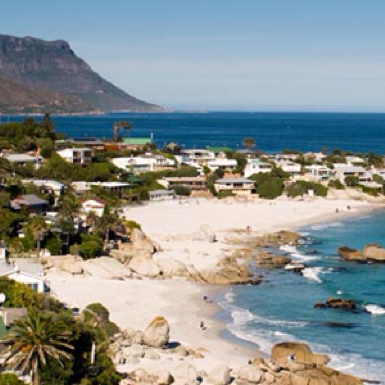 SunshineLetting's profile picture. 