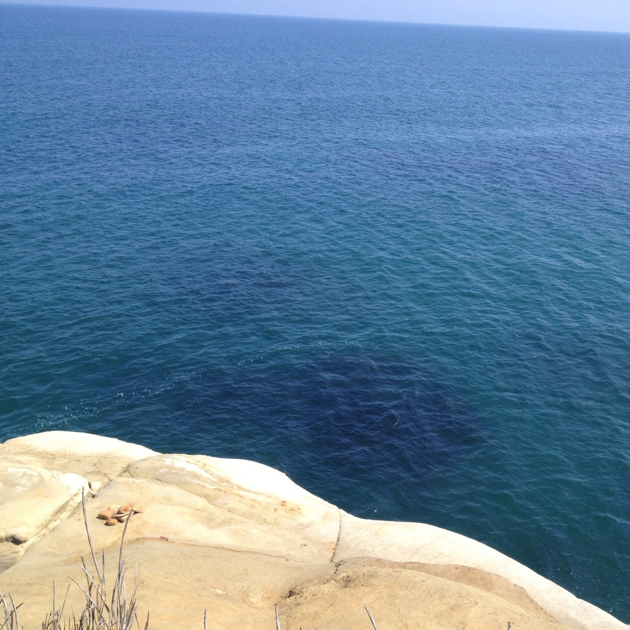 HScas's profile picture. CAS垢です！よろしくね！