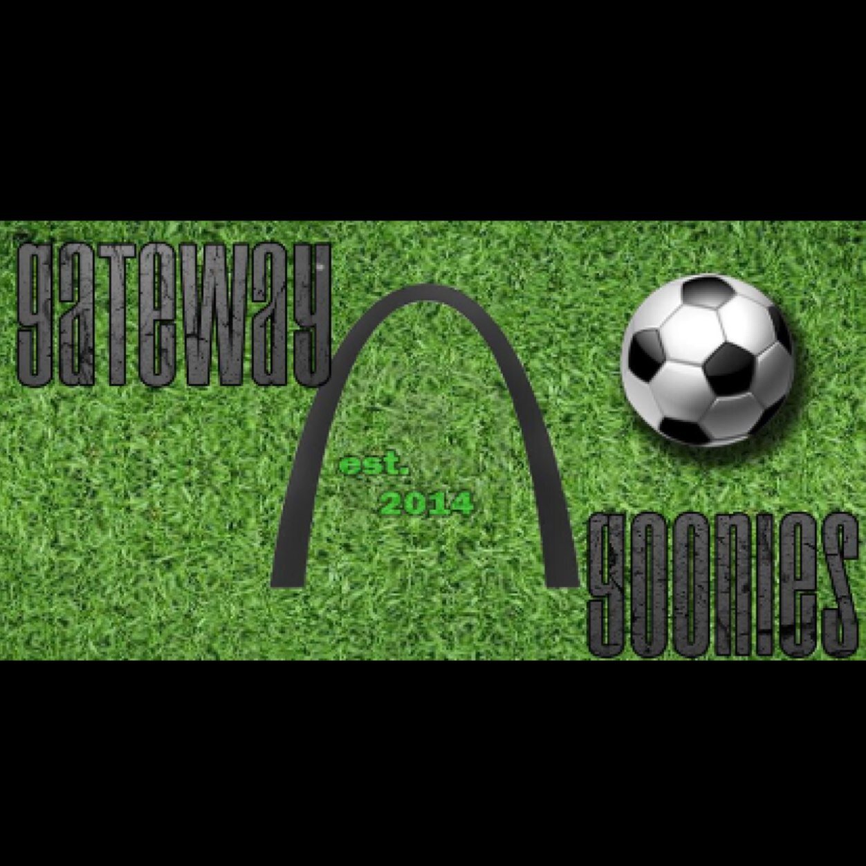 Soccer supporter group in St. Louis. We'll mainly be supporting St. Louis FC, the Ambush, and the Lions. Partners of @StLouligans.