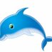 delfinofimpuglia (@delfinofim) Twitter profile photo delfinofimpuglia (@delfinofim) Twitter profile photo