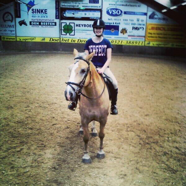 ~Money can't buy you happiness but it can buy you a horse~