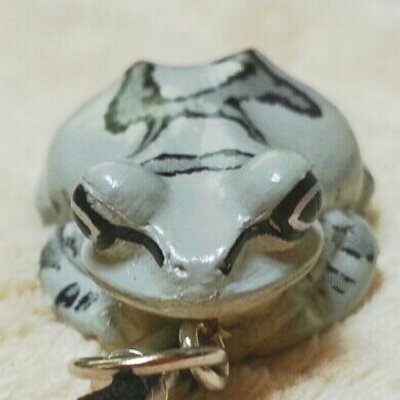 かりや君