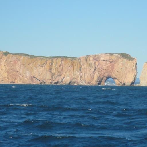 claude0266's profile picture. 