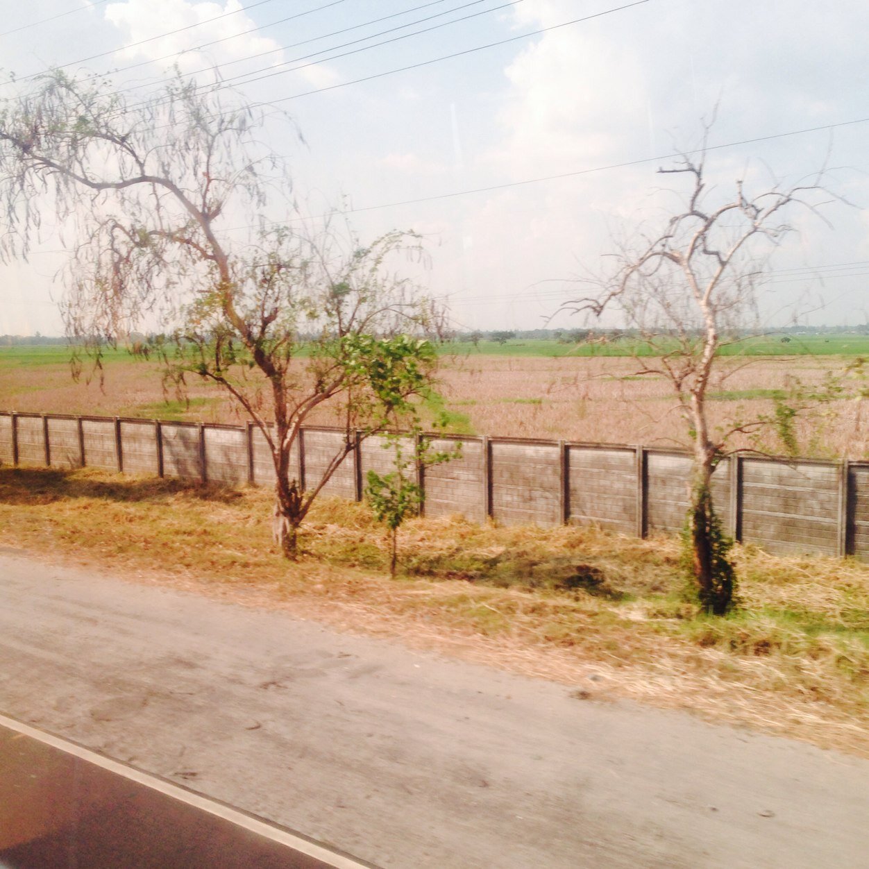 zivantot's profile picture. I sing and eat . Followed by @JamesArthur23 | I should be travelling around the world.. I should be meeting different ppl. Science-History