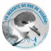 Proyecto golondrina (@proygolondrina) Twitter profile photo Proyecto golondrina (@proygolondrina) Twitter profile photo