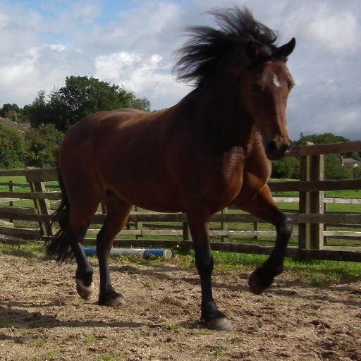 SARAHMF12's profile picture. 