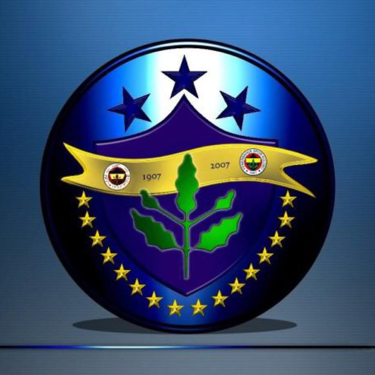 Fenerbahçe sevdalısı Tıp Fakültesi Öğretim Üyesi Profesör