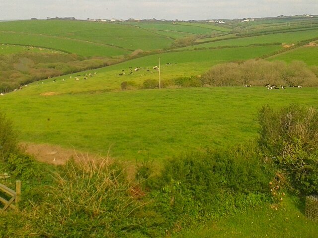 trevigofarm's profile picture. 