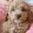 paddyheyward's profile image