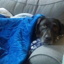 Kevin Rua - @krua3349 - Twitter