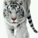 will meza - @zombis98 - Twitter