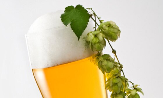 All-Grain newbie in Windsor/Detroit.  Peace, Love and Beer!