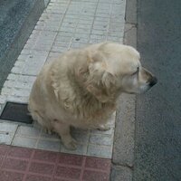 Edu Pablo (@edu_baros) 's Twitter Profile