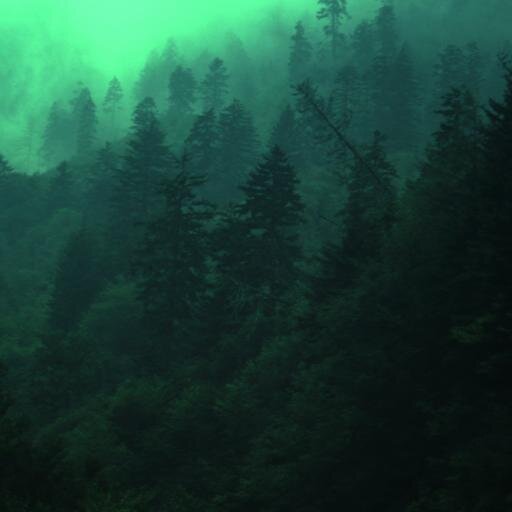 soundsofjura's profile picture. 