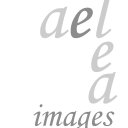 Andy Lea - @AndyLea2 - Twitter