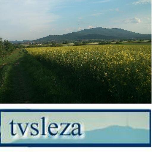 TVSleza1's profile picture. wesele.film@wp.pl
