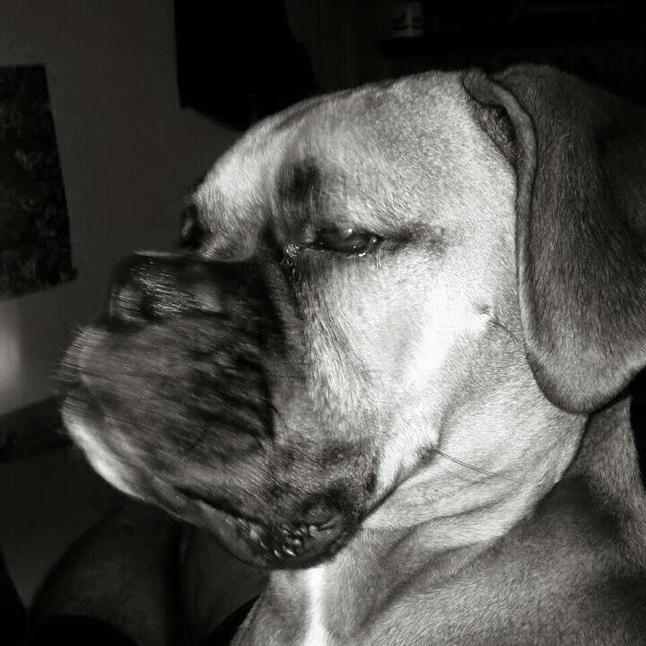 MangoniMartin's profile picture. 