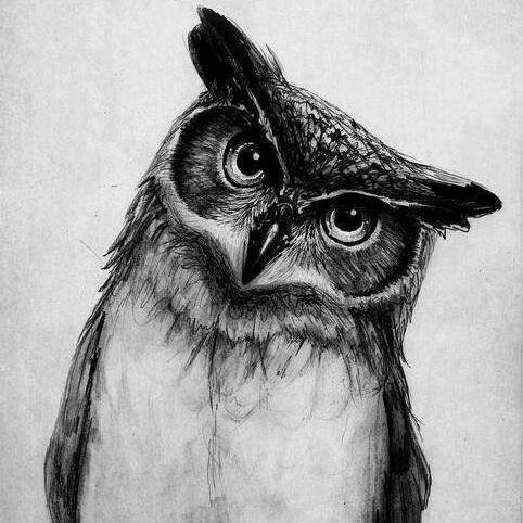 LechuzaOscura's profile picture. Me tachan de excesiva crueldad en mis reflexiones, lo que muchos ignoran es que me baso en la realidad misma para ello.