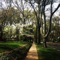 Greg Jones (@grjones) 's Twitter Profile