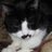 CINDYLLAMMERS's profile image
