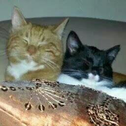 GerritsenRg's profile picture. 