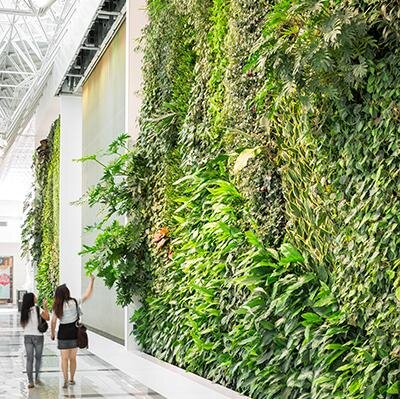 Passion for living design, sustainable architecture. Botanical artists and creators of the largest living walls in North America