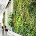 Living Green Walls Profile Image