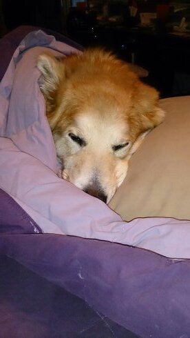 EllieBray03's profile picture. Proud mama of two.  Enjoying my time with them while they are still young.