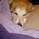 Eva Fiala - @EllieBray03 - Twitter