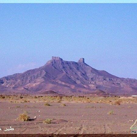 موروث وتاريخ وفرسان قبيلة #جهينة القضاعية العريقة