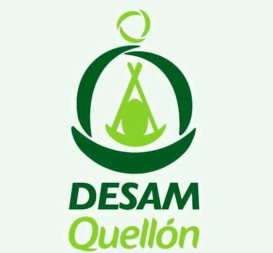 Red de Atención Primaria de Salud - Departamento de Salud Municipal de Quellón.