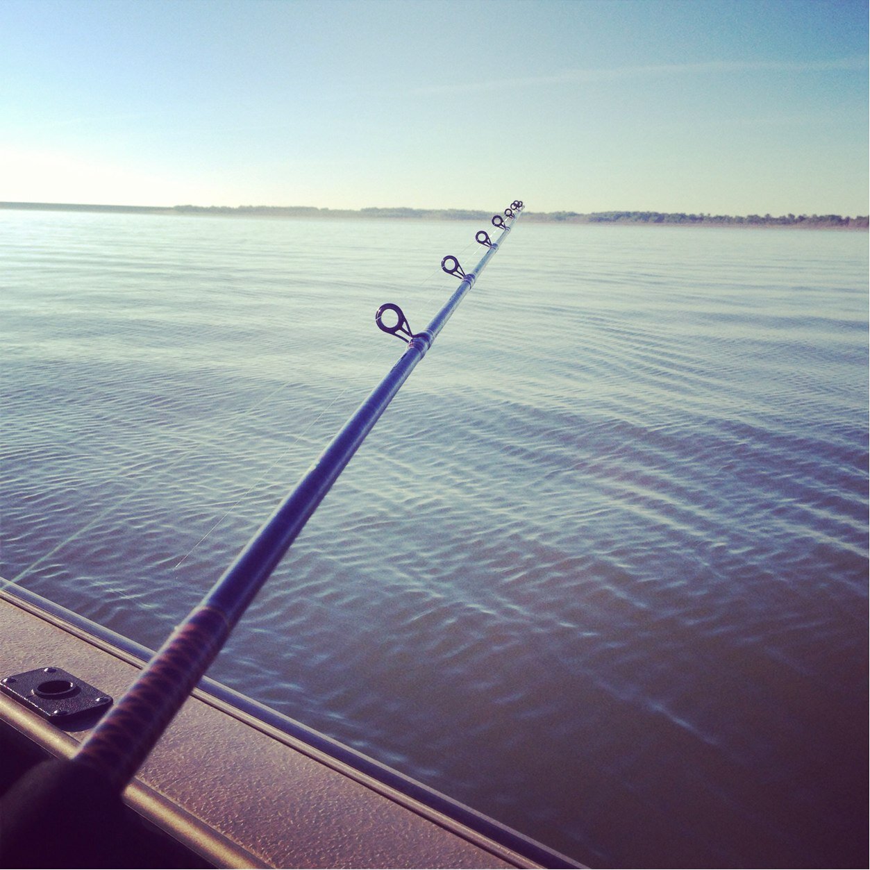 AdamGuthmiller1's profile picture. 