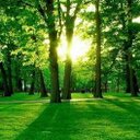 Jay Lin - @jaylinks - Twitter