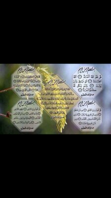 ‏كن مع الله يكون معك