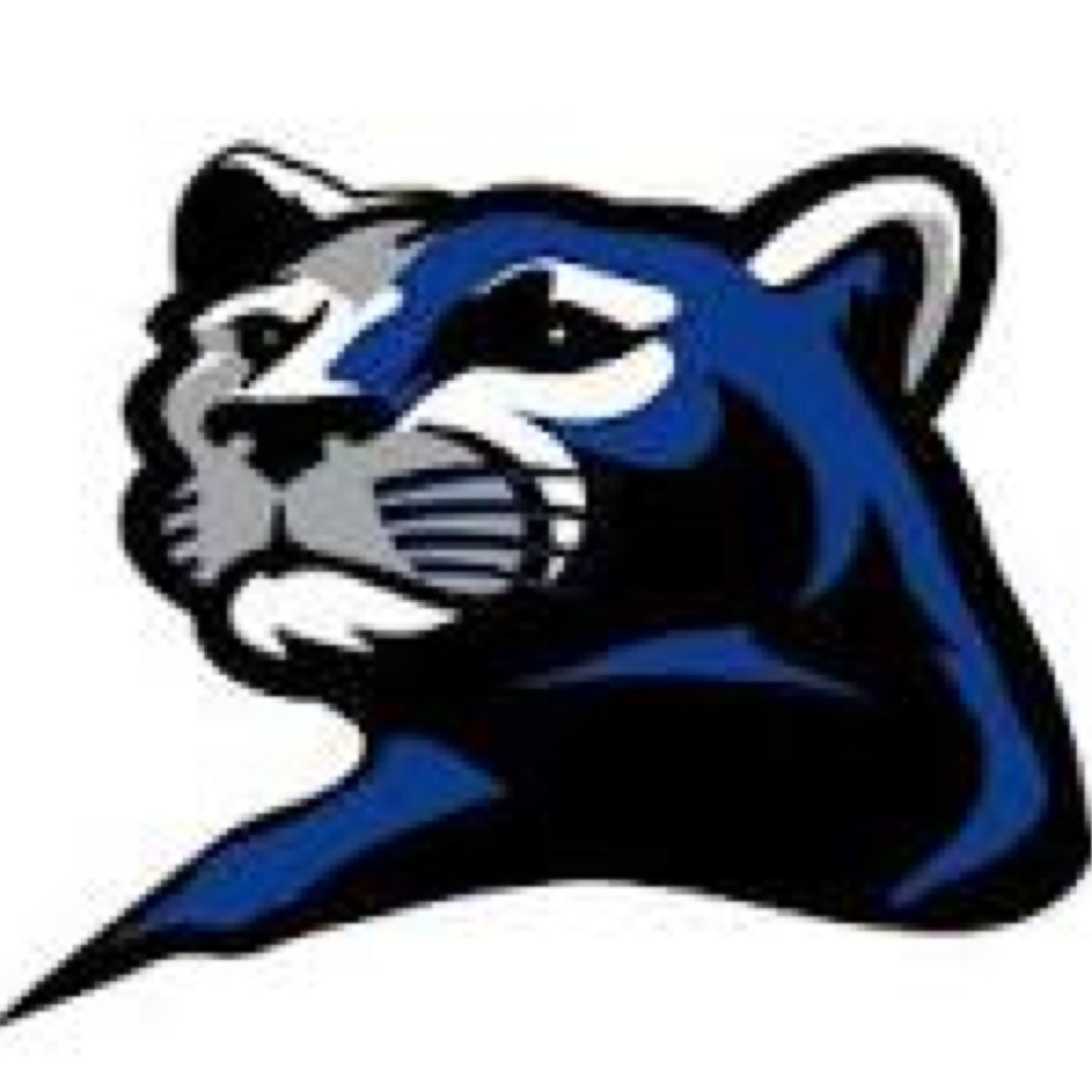 rogers_assassin's profile picture. https://t.co/HXVviY5l2U