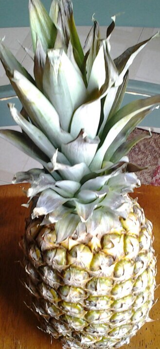 RosieQalinle's profile picture. 