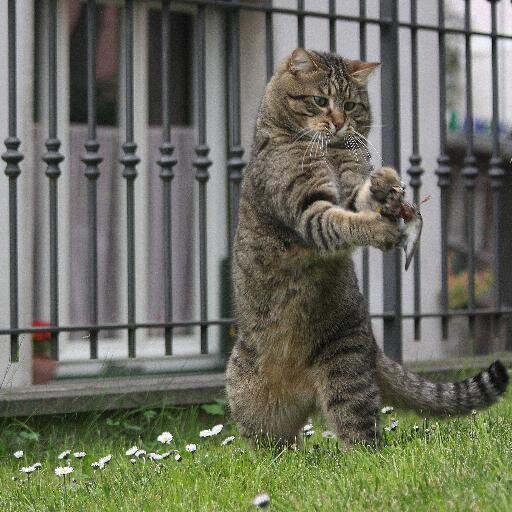 LCaturegli's profile picture. fotoamatore,fotografo per passione fan di ciclismo