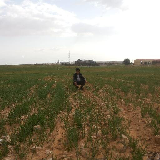 عٌلُيُ آلُرضوُآنْيُ